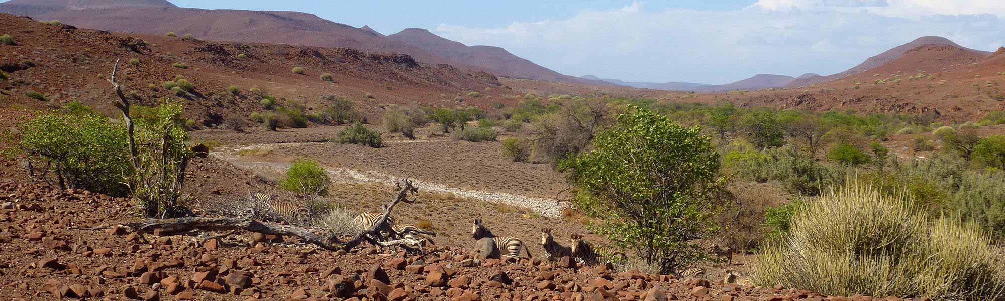 NAPHA calls for stronger tourism drive despite dip in visitor arrivals image - Tourismus